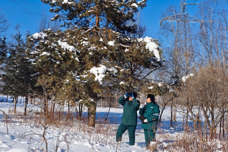 新春走基层|踏雪长白山守护输电线路安全