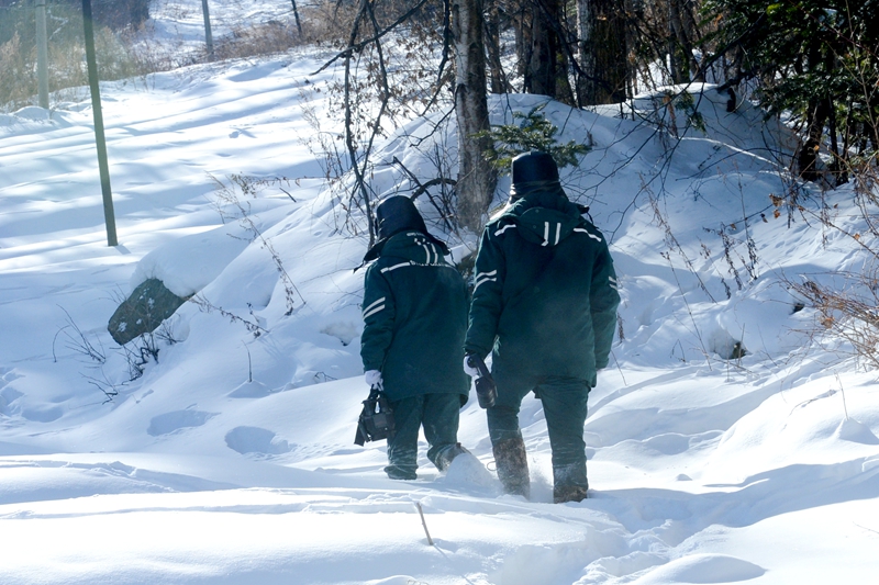 新春走基层|踏雪长白山守护输电线路安全