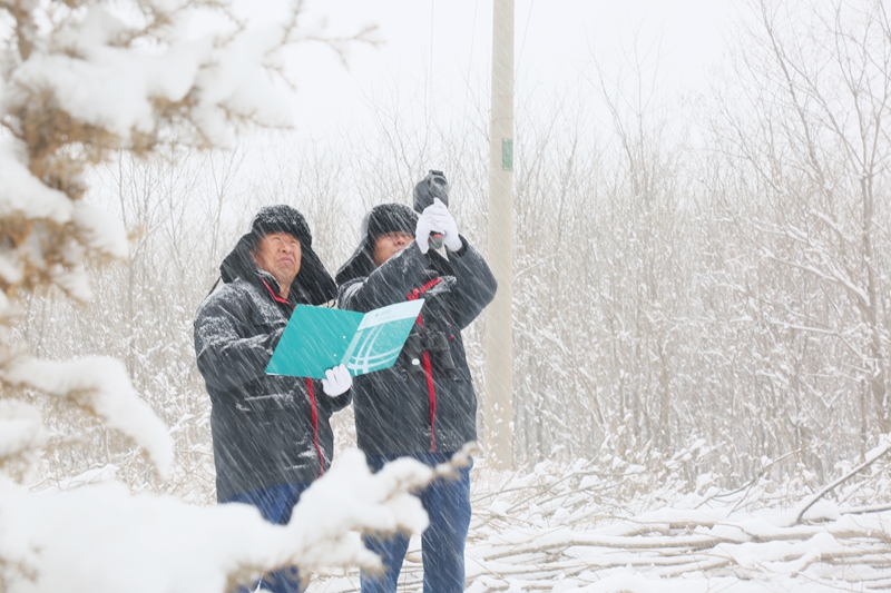  应对寒潮冰冻 保障温暖过冬