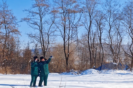 节日我在岗｜电力满格护航春运畅行