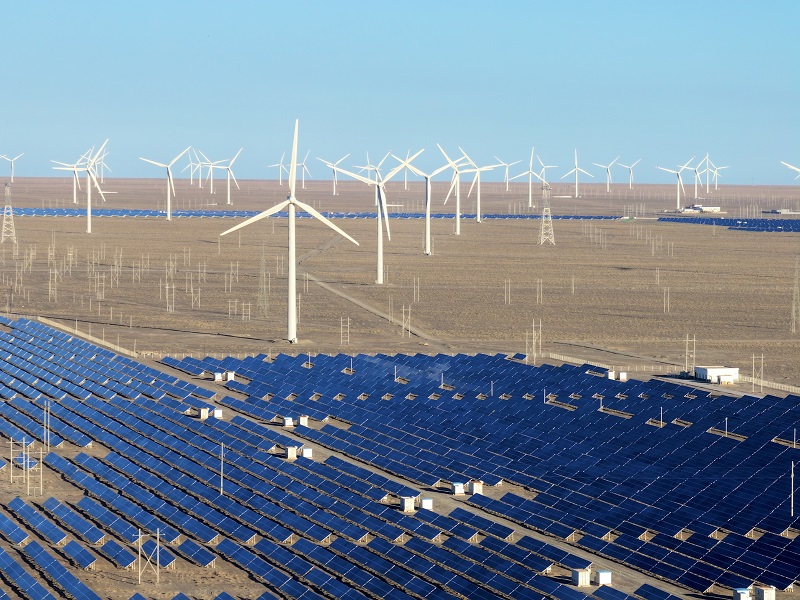 公司召开服务新能源高质量发展专题工作会