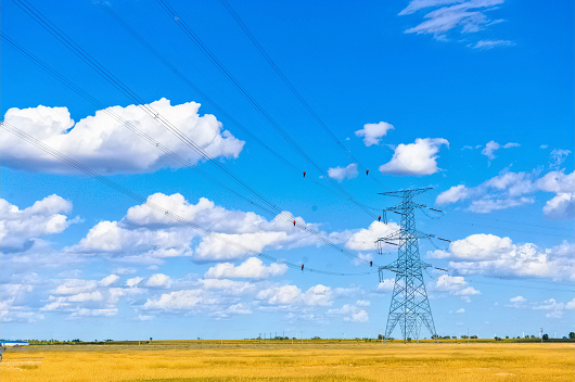 张智刚董事长与吉林省省长胡玉亭举行会谈