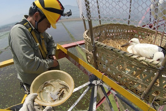 国家电网2个集体1名员工获评第十一批全国岗位学雷锋标兵