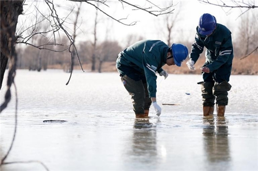 国家电网广泛开展学雷锋志愿服务活动