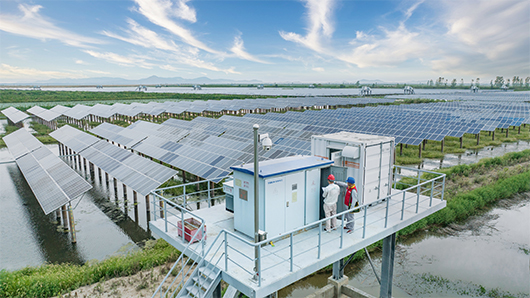 公司党组召开2025年度二级单位党委书记抓基层党建述职暨述责述廉评议会议