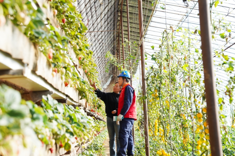 电润良田助春耕