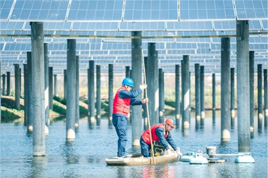学习贯彻全国两会精神｜积极服务全面绿色转型