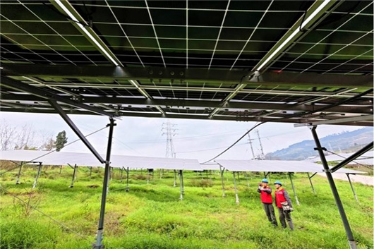 学习贯彻全国两会精神｜积极服务全面绿色转型