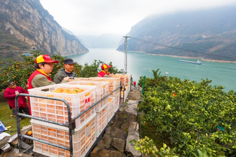 学习贯彻全国两会精神｜全力服务保障和改善民生