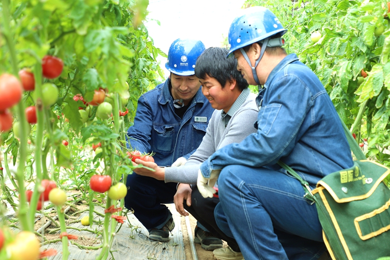 电润田间助春耕