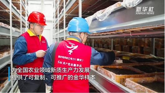 【新华社】智慧电力赋能中药材焕发新生机