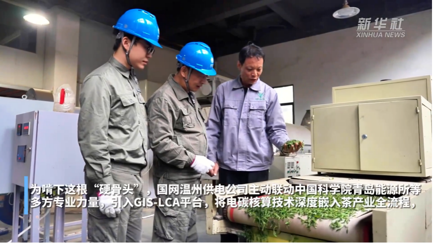 【新华社】电力赋能茶产业低碳转型