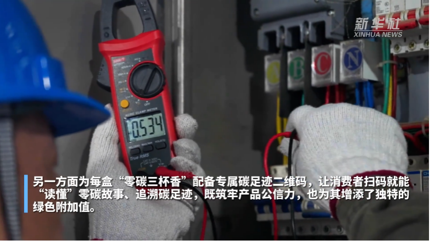 【新华社】电力赋能茶产业低碳转型