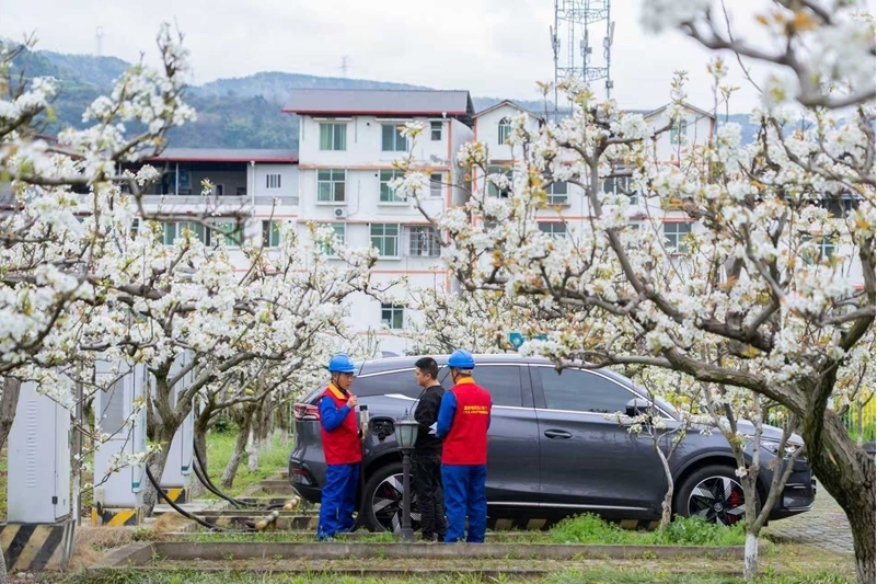 节日我在岗｜护航绿色出行无忧