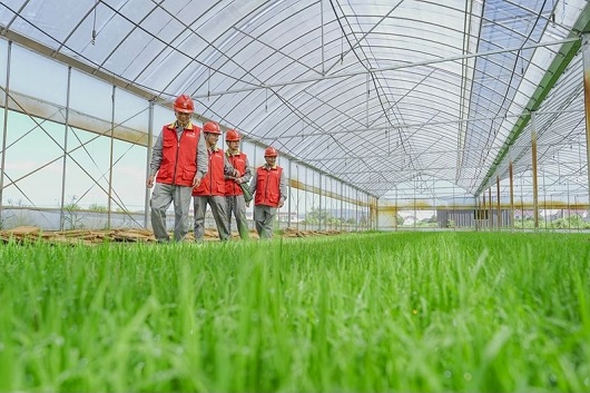 新时代高质量党建工程｜党建引领先锋行动
