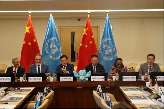 国家电网公司受邀出席全球发展倡议主题 研讨会并作经验分享