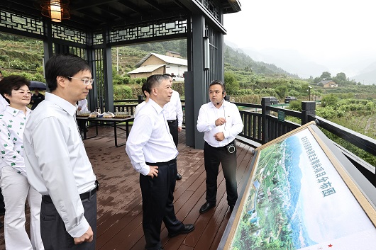 张文峰总经理在国网湖北电力调研