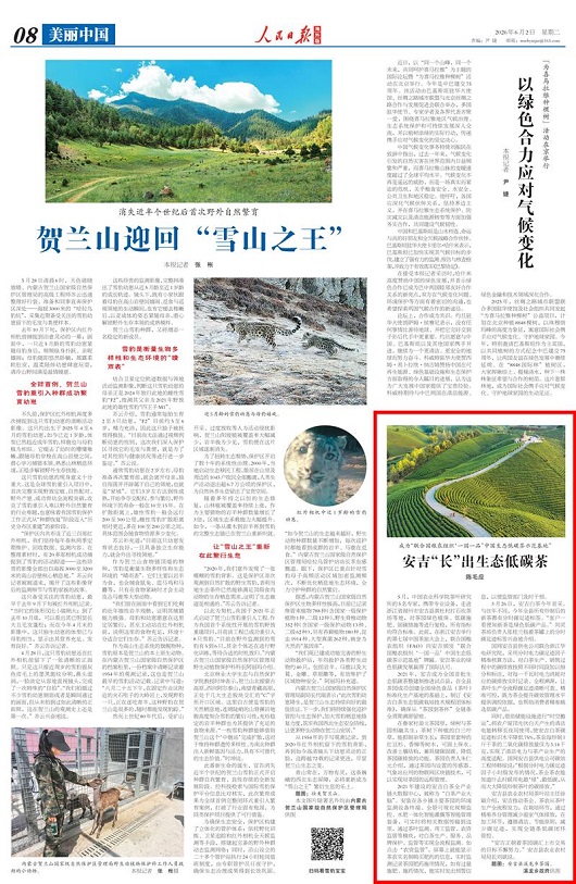 【人民日报】分时电力碳足迹助力“长”出生态低碳茶