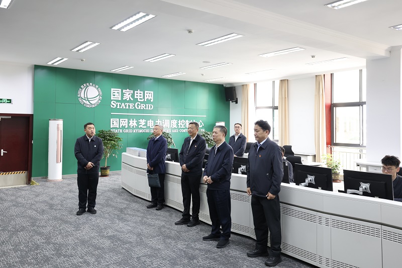 张文峰总经理在国网西藏电力调研
