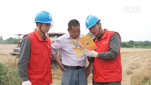 【新华社】麦浪翻滚夏收忙 电力护航粮满仓