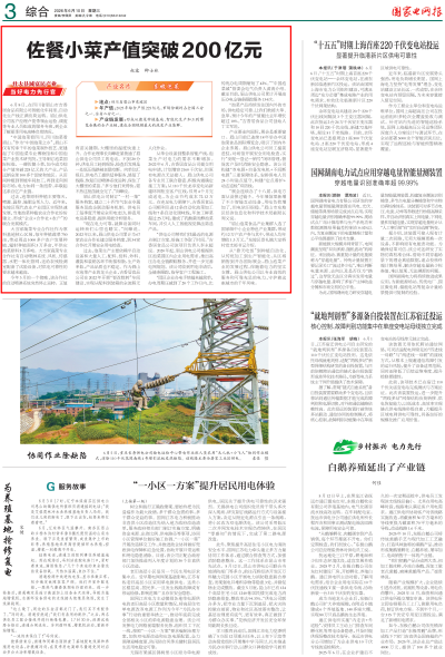 国网报-3版_01_副本.png