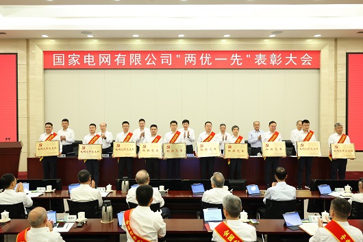 国家电网公司党组召开“两优一先”表彰大会