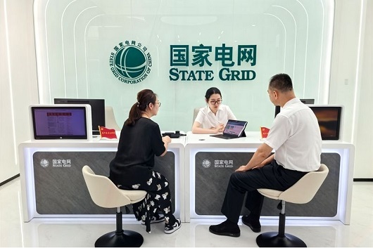 实干担当推进国家电网高质量发展